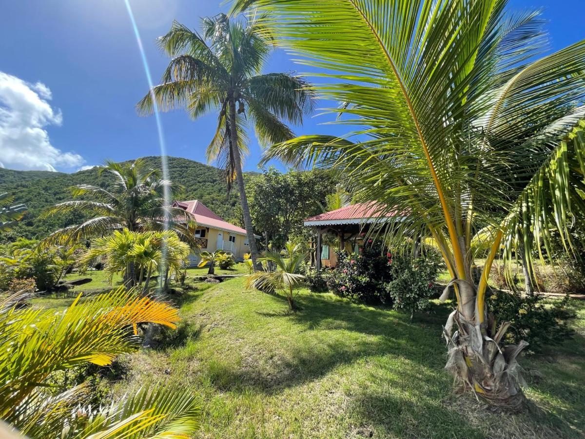 Residence Coco D'Iles, Gite Ti Bambou Terre-de-Bas Eksteriør bilde